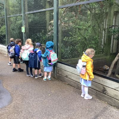 Birdworld
